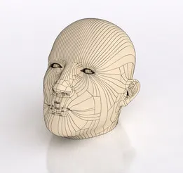 Human Head