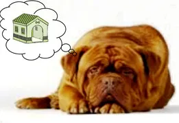 Dog house - Домашняя будка для собаки