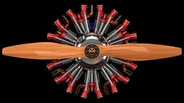Karl-Erik Olsryd 9-Cylinder Radial Wright J-5 Whirlwind