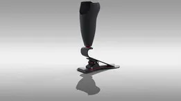 Below-knee Prosthesis