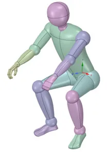 Human man 3d model