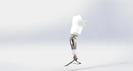 prosthetic leg