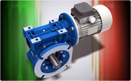 Worm gear reducers