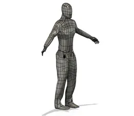 HUMAN 3D MODEL