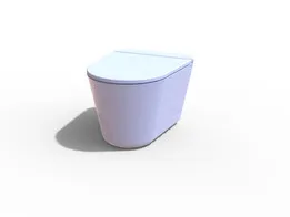 Toilet seat