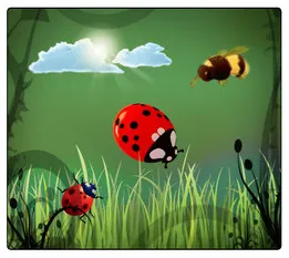 Ladybug