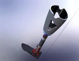 Prosthetic Leg