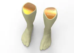 SCANNED HUMAN FOOT and LEG