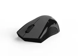 Computer Mouse