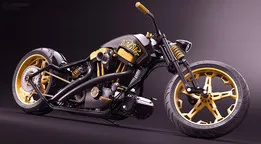 GoldSter - Custom bike project