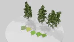 Huş Ağacı ve Yaprakları [Birch Tree and Leaves] - Koivu ja lehdet
