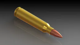 .223 Remington (5,56x45) Cartridge