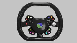 Steering wheel of the electric car Dubina Evo