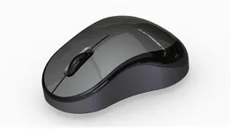 computer mouse