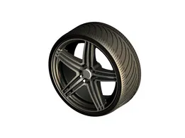 Wheel of a Sportscar, Tomason TN5 Rim