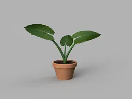 Alocasia elephant ears plant