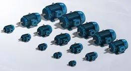 Motor WEG ( W22 - Ir2 )