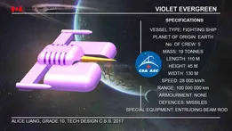 Violet Evergreen
