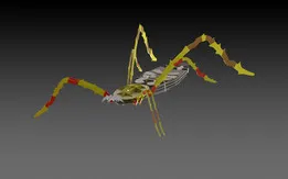 Banana spider, 3d model, puzzle, sheetmetal