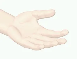 human left hand