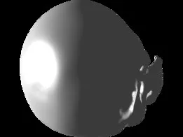 Rough human skull model