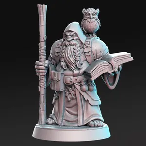 Dramnir - Dwarf Wizard with owl - 32mm - DnD