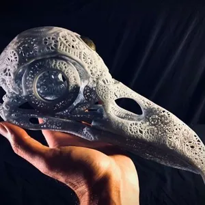 Filigree Anatomical Raven Skull - Pre-supported STL