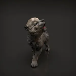 Wolf Pup