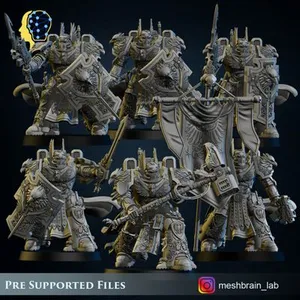 Imperial Marine Master of the order and Sworn Guard squad