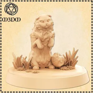 Scottish Fold Cat