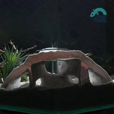 3D Printable Cave, Pet Shelter for Aquariums & Terrariums: Fish, Shrimp, Reptile, Spider and Bug Hide, Small Rock Form Tank Decor BreezeStone — Фото 4 из 9