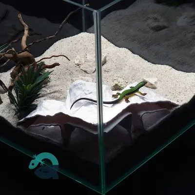 3D Printable Cave, Pet Shelter for Aquariums & Terrariums: Fish, Shrimp, Reptile, Spider and Bug Hide, Small Rock Form Tank Decor BreezeStone — Фото 2 из 9