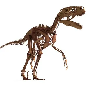 Utahraptor Skeleton – Highly Detailed Prehistoric Dinosaur 3D Model