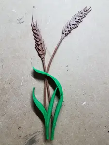 Wheat