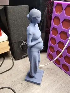 Pregnant woman
