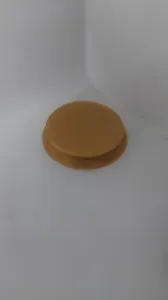 Smaller version of "Best Ant Trap Ever"