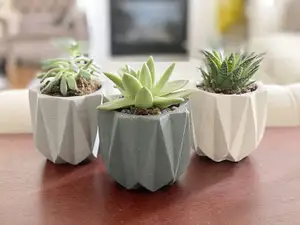 Planter 12 - Succulent Life