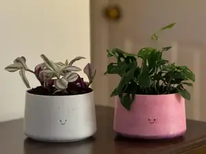 Planter with Smiley face