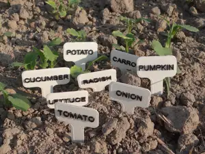 Vegetables garden signs/labels
