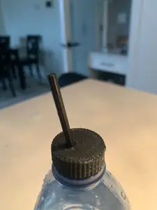 self watering plant cap