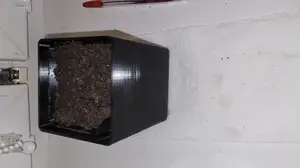Self-watering flower pot