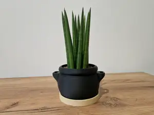 Cauldron Pot