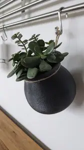 Hanging Flower Pot