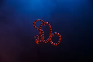 Snake - Vikings 3D Prophecy - All His Angels