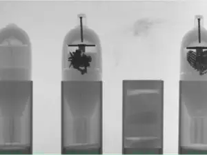 PMN-2.1