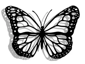 Wall decor Butterfly