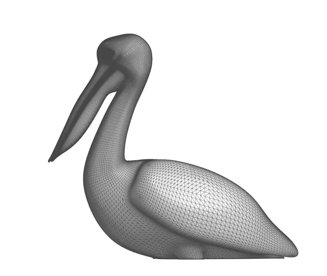 Australian Pelican — Image 2 of 2
