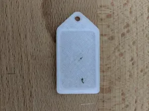 Generic Tag Name Keychain
