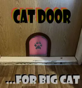 Cat door