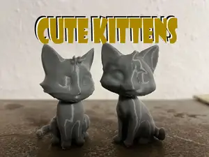 Cute kittens, Cat